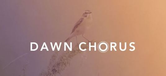dawn_chorus_branding_biotopia